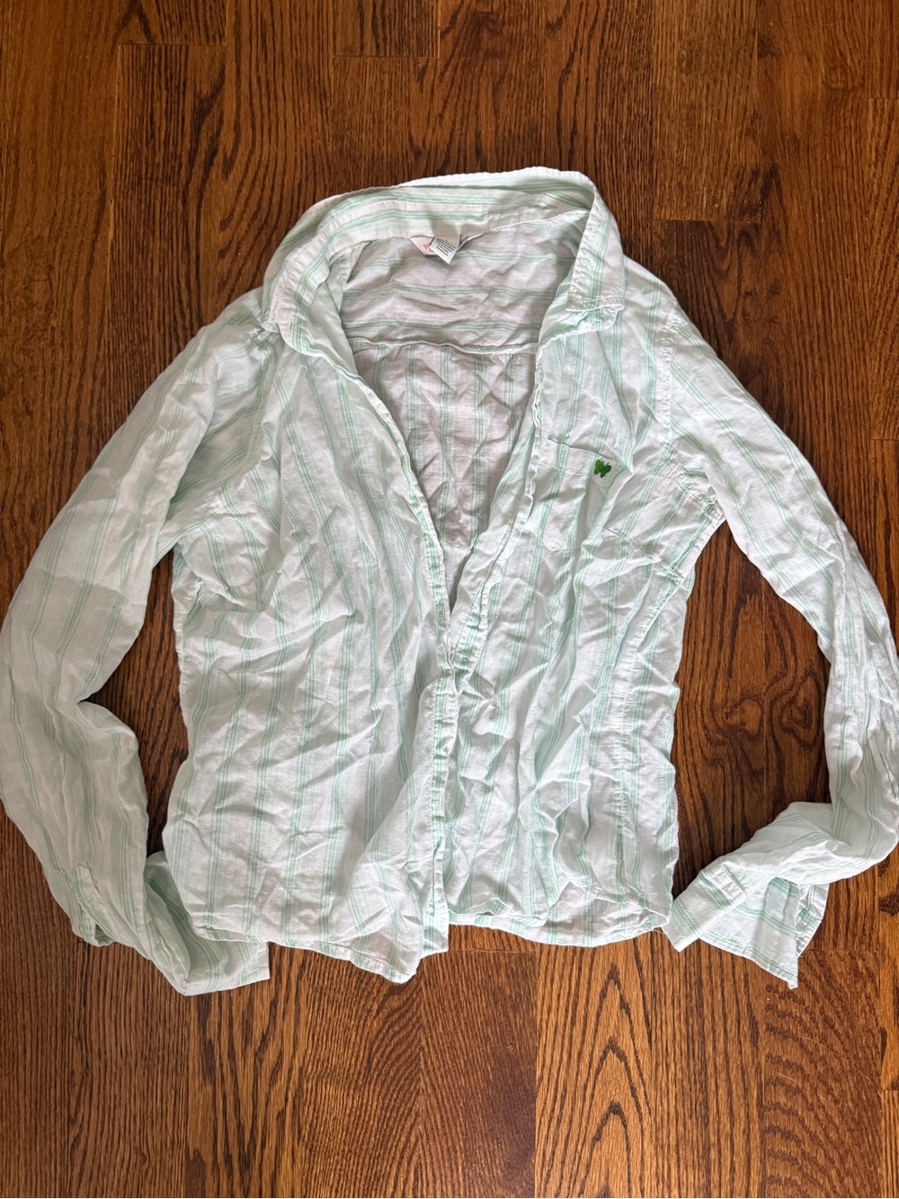 Aeropostale Light Mint Striped Button-Down Shirt